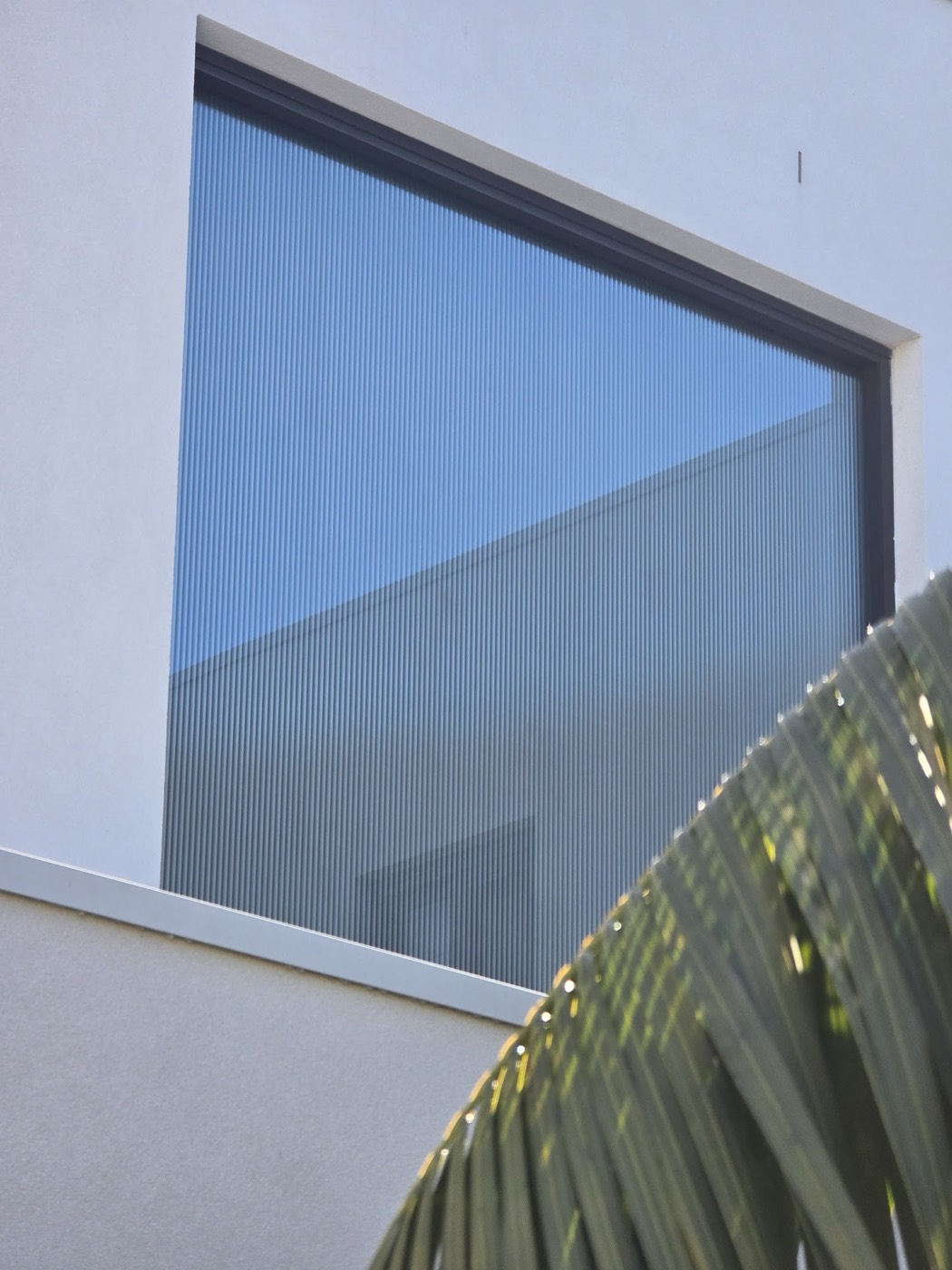 TintCo decorative film installation