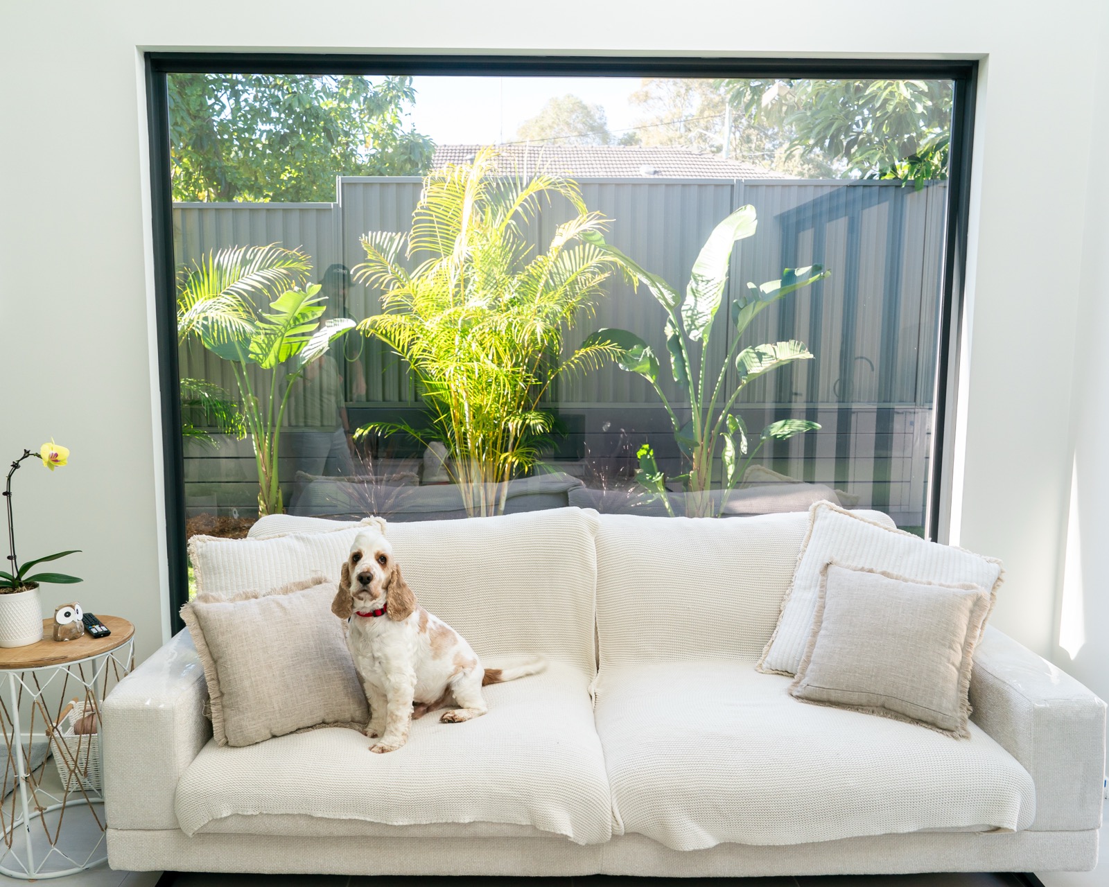 TintCo heat film installation